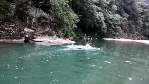 僵尸辨色球